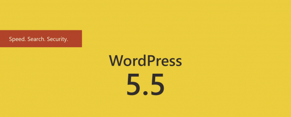 Phiên bản WordPress 5.5 và nhiều điều thú vị